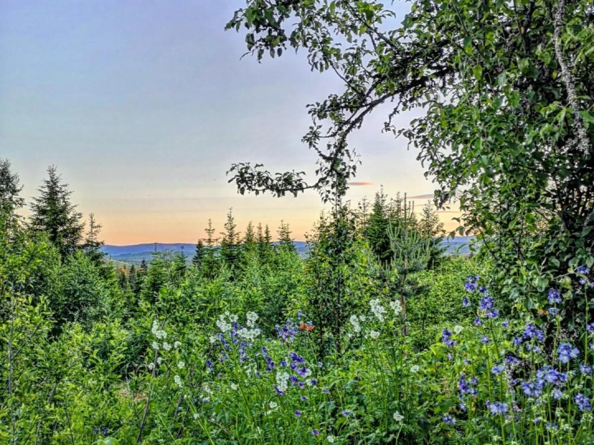 Glamping Tent With Amazing View In The Forest Torsby Εξωτερικό φωτογραφία