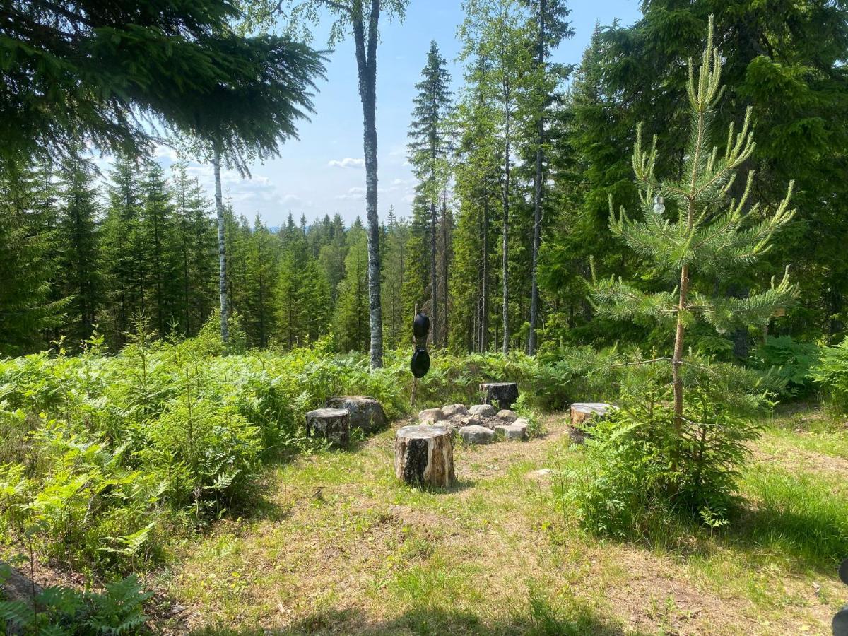 Glamping Tent With Amazing View In The Forest Torsby Εξωτερικό φωτογραφία