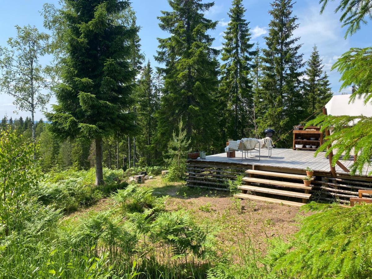 Glamping Tent With Amazing View In The Forest Torsby Εξωτερικό φωτογραφία